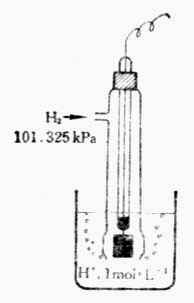 标准氢气电极