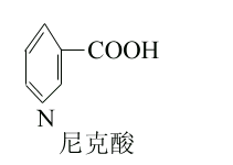 一、维生素B复合体