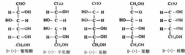 一、单糖的结构