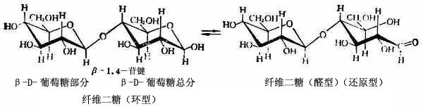 一、二糖的结构和性质