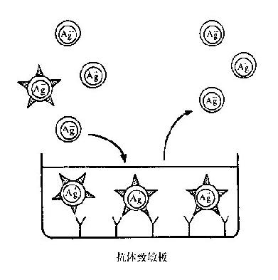 亲和分离法图解