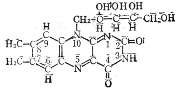 维生素B2结构式 