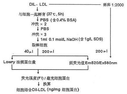 直接荧光法测LDL-R操作步骤