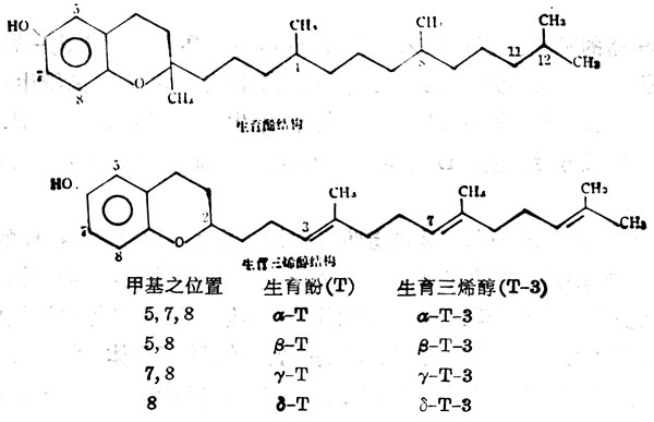 8种自然界的维生素E的构造 