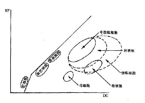 电阻抗与射频联合检测白细胞、幼稚细胞、屏幕细胞分布图