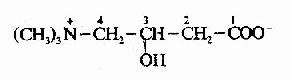 (一)脂肪酸的β-氧化过程
